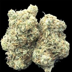 Raspberry Storm 2 IMG 1526