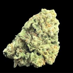 Jealous Melon 2 IMG 1639