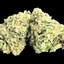 Jealous Melon 3 IMG 1640 1