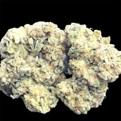 Halle Berry 2 IMG 1650