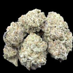 Mango Tango 2 IMG 1800