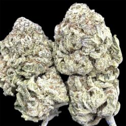 Sour Apple Haze 2 IMG 1991