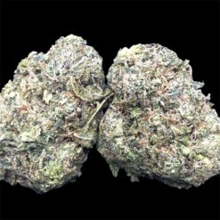 Island Pink kush 1 IMG 2050