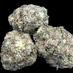 Island Pink kush 2 IMG 2051