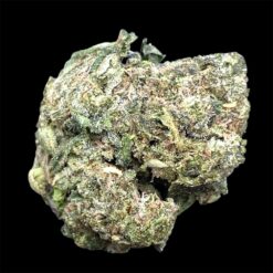 Phat Crack 2 IMG 2107