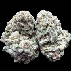 Apple Pie 2 IMG 2248
