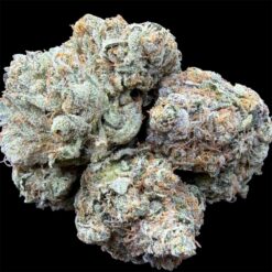 Ghost Breath 3 IMG 2341