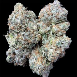 Ghost Breath