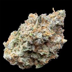 Ghost Breath 2 IMG 2343