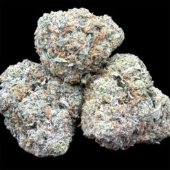 Mendo Fuel 1 IMG 2344