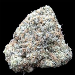 Mendo Fuel 3 IMG 2346
