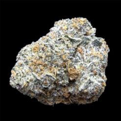 Cosmic Platinum 3 IMG 2352