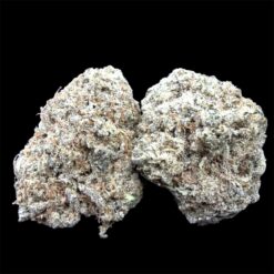Platinum Punch 2 IMG 2499
