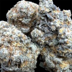 Blueberry Blast 1 IMG 2524