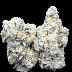 Blueberry Blast 2 IMG 2525