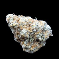 Blueberry Blast 2 IMG 2526