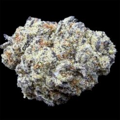 Oreo Stomper 3 IMG 2753