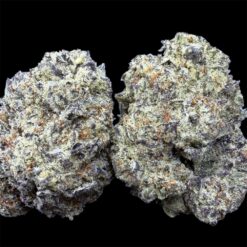 Oreo Stomper 2 IMG 2754