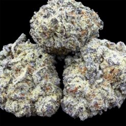 Oreo Stomper 1 IMG 2755