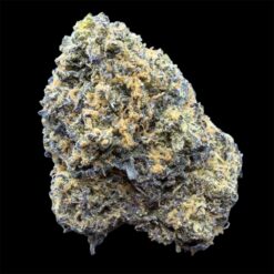 Lemon Peel 3 IMG 2756