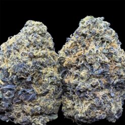 Lemon Peel 1 IMG 2758