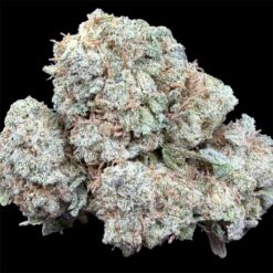 Photoroom 20251031 135813