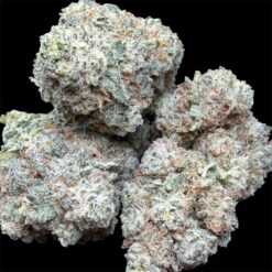 Photoroom 20251031 135907