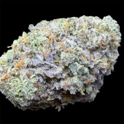 Cookie God 2 Photoroom 20251031 140105