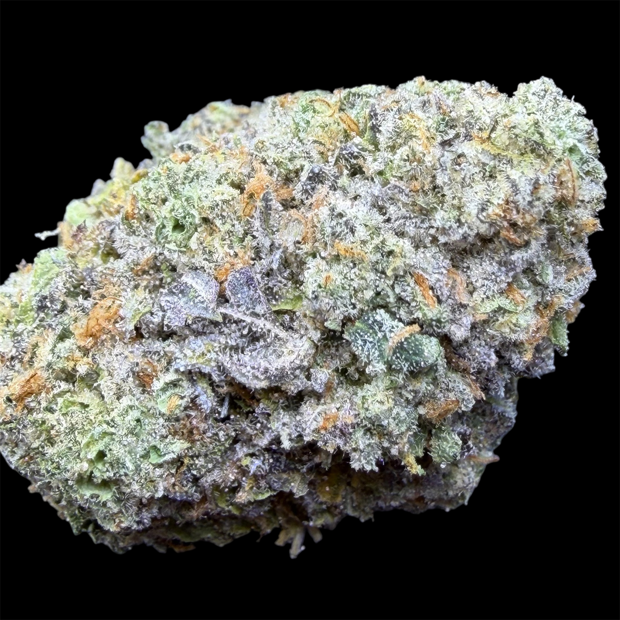 Photoroom_20251031_140105 Photoroom 20251031 140105