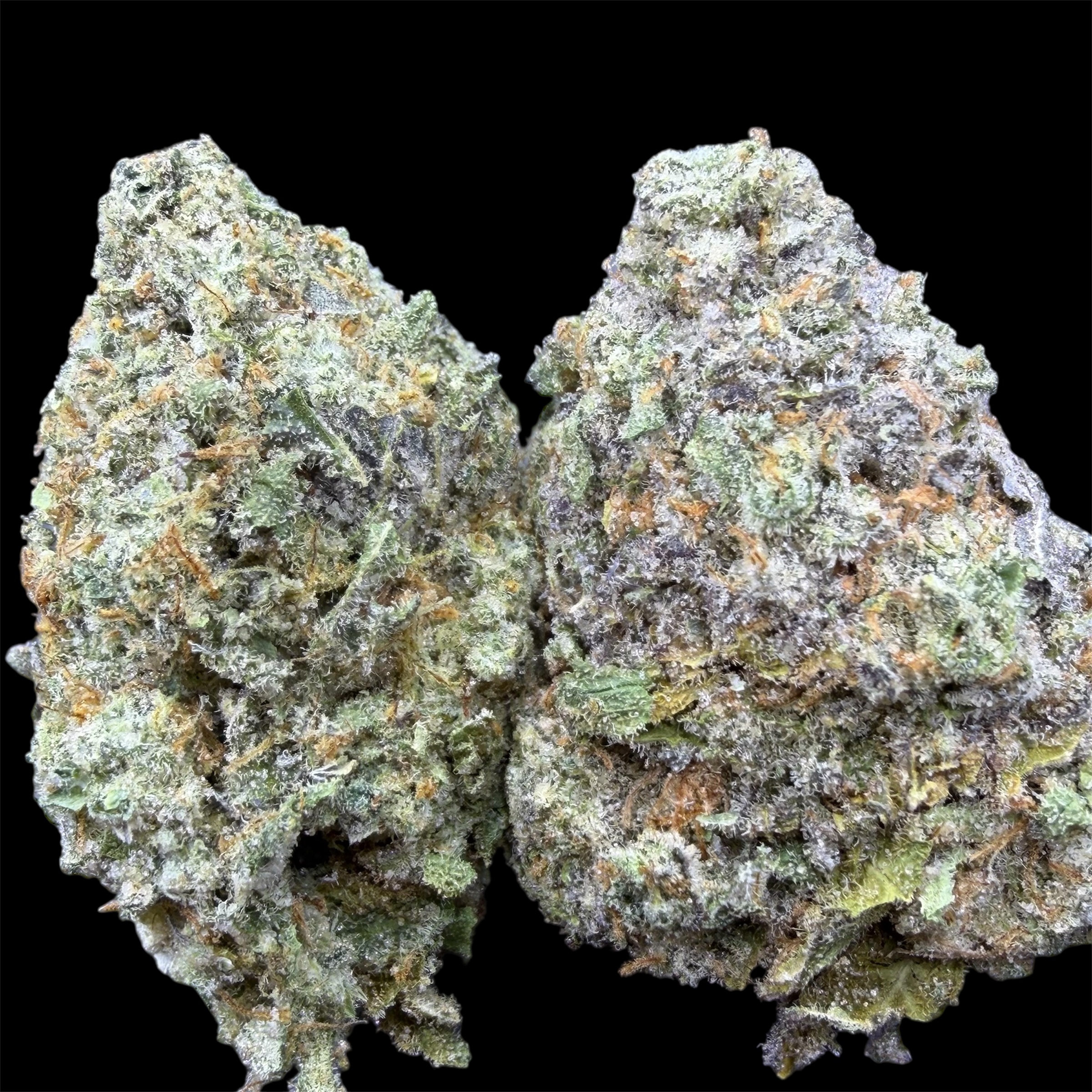 Photoroom_20251031_140126 Photoroom 20251031 140126