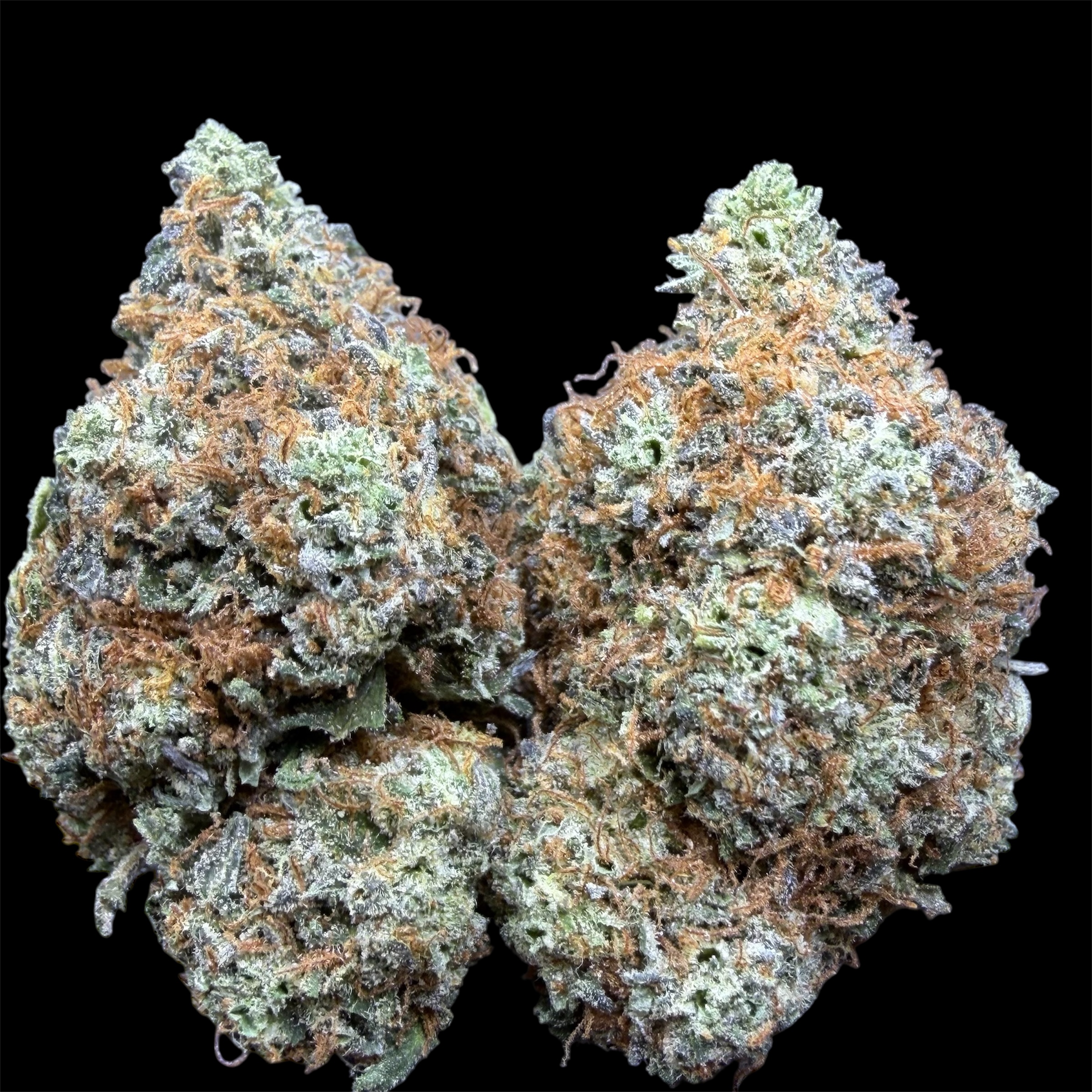 Photoroom_20251031_140225 Photoroom 20251031 140225