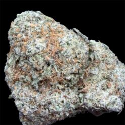 Photoroom 20251031 140302