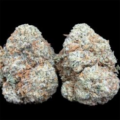 Photoroom 20251031 140324