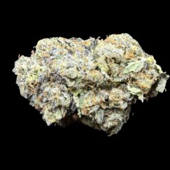 Photoroom 20260114 121341