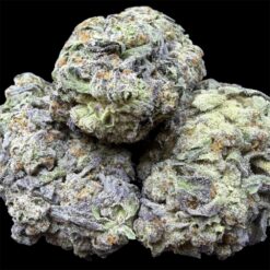 Blueberry Sherbet