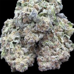 Sour Tropical Zkittlez