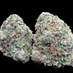 Slurricane 3 IMG 2943