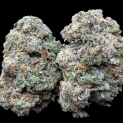 Slurricane 2 IMG 2948