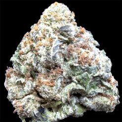 Durban Biscotti 3 IMG 3031