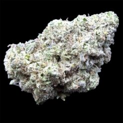 Strawberry Boba 3 IMG 3085