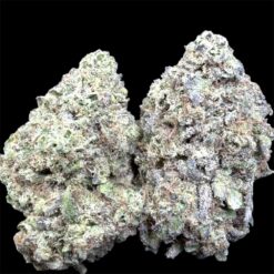 Strawberry Boba 2 IMG 3086