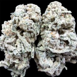 Mango Smoothie 2 IMG 3089