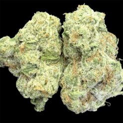 Raspberry Storm 2 IMG 3381