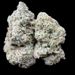 Photoroom 20260114 121248