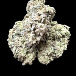 Photoroom 20260114 121434