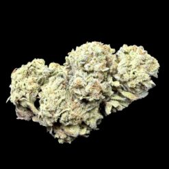 Photoroom 20260114 121458