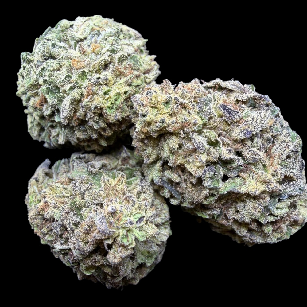 Photoroom_20260114_230610 Photoroom 20260114 230610