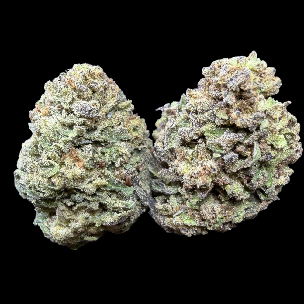 Photoroom_20260114_230636 Photoroom 20260114 230636