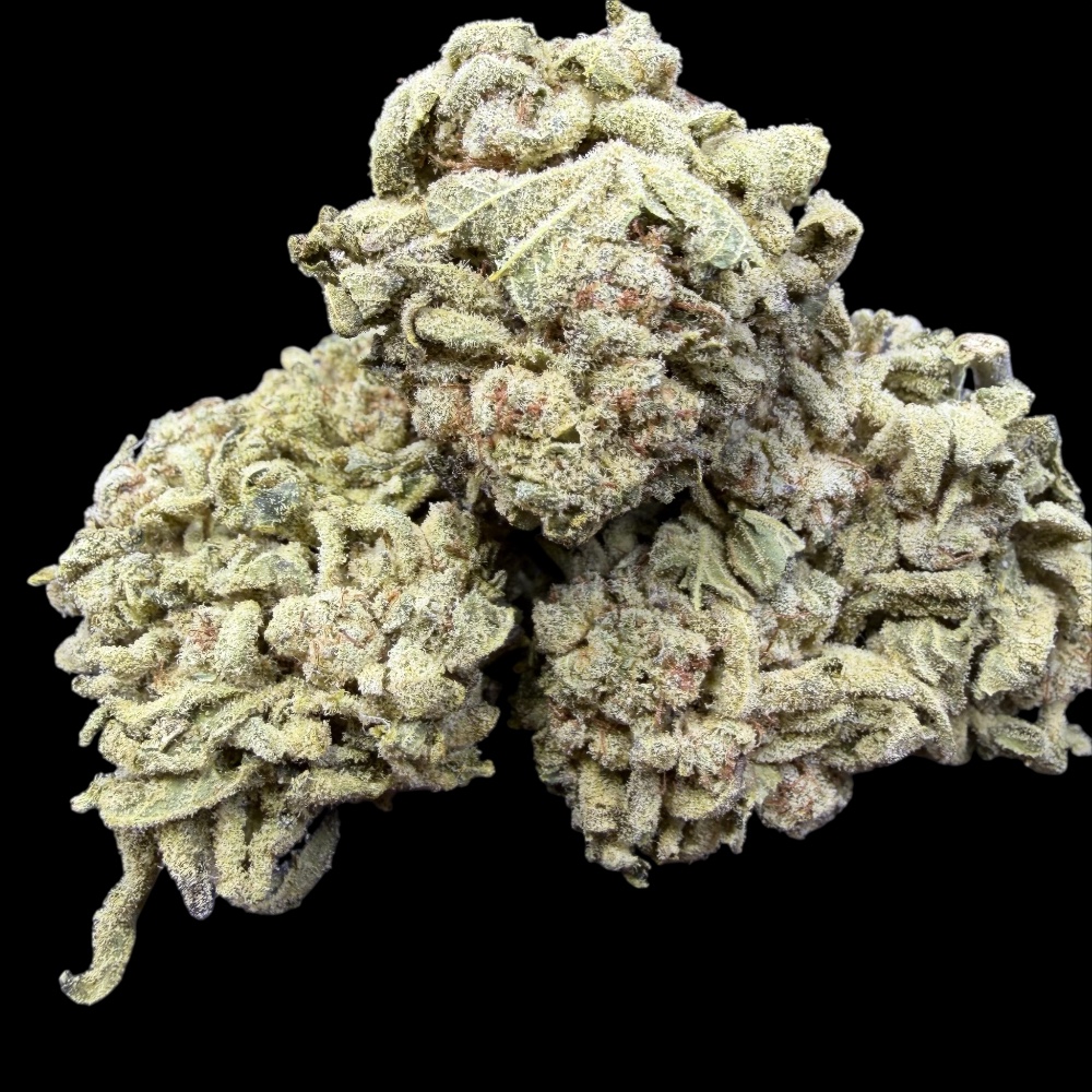 Photoroom_20260114_230832 Photoroom 20260114 230832