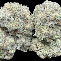 Photoroom 20260208 122411